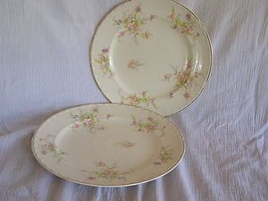Vintage Crooksville China Spring Blossom Dinner & Lunch Plate Shabby 