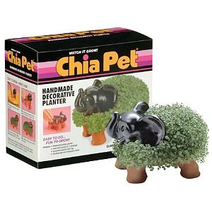 chia pet elephant 1 ea watch it grow handmade decorative planter easy 