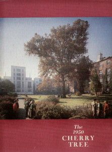 College Yearbook George Washington University Cherry Tree 1950