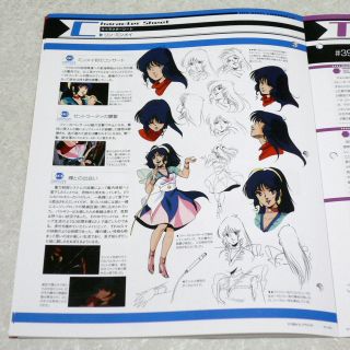 Macross Chronicle 31 Valkyrie VF 11 Lynn Minmay Bandai Anime Book Mook