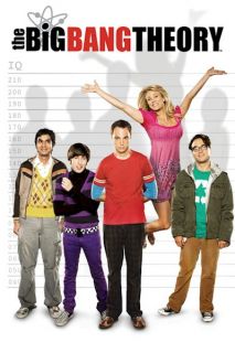 the Big Bang Theory  FACT OR FICTION trivia card game (comes in 3x4