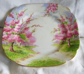 ROYAL ALBERT BLOSSOM TIME PLATE~FINE CROWN CHINA BREAD &BUTTER SMALL