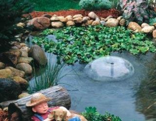 10 x 10 Complete Pond Kit Including Liner Pump Fountain Backyard New