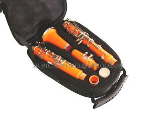Clarinet is NOT included It is for demonstration purpose only.