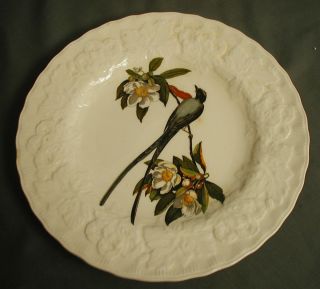 ALFRED MEAKIN PLATE #168 FORK TAILED FYLCATCHER ENGLAND BIRDS OF