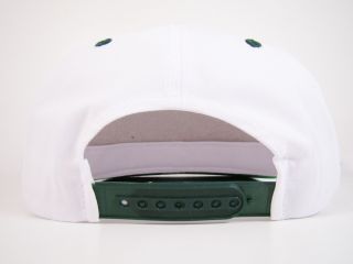  Snapback Hat White Script Logo Coco Crisp American Needle MLB