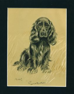 Vintage Dog Print 1937 Black Cocker Spaniel by Lucy Dawson