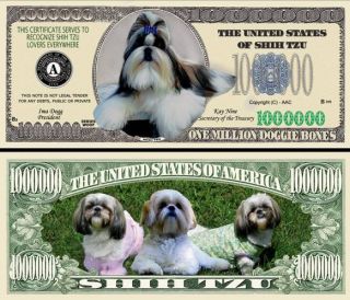  A Full Color Shih Tzu Dog Bill 100 $13 99