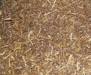 Pounds of 50 50 Straw and Compost Mushroom Substrate Mix by Out Grow