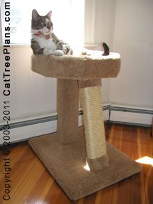 10 Cat Condo Furniture Plans Directions Make Tree Toy House Stop