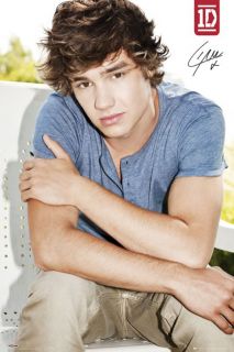 One Direction Liam   1D Liam   New Music Poster