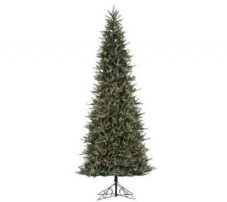 12 Prelit PE/PVC Tiffany Spruce Slim Tree by Vickerman —