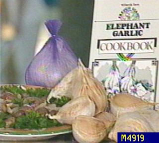 Crinklaw Farms Fresh Elephant Garlic Cloves with Cookbook —