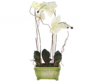 Decorative 27 inch Orchid Plant in Pot by Valerie —