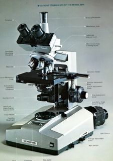 Olympus BH P 2 Petrologic Microscope transmitted Only