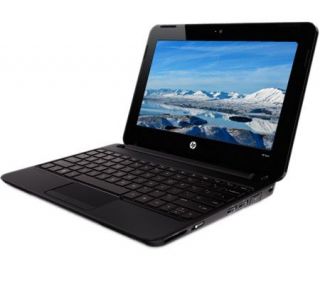 HP 10.1 Mini Netbook 1GB RAM, 250GB HD, 3 Cell  Glossy Black