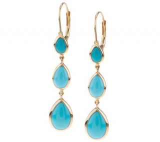 Sleeping Beauty Turquoise Linear Design Lever Back Earrings, 14K