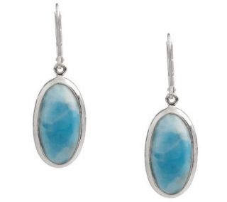 Oval Larimar Sterling Lever Back Earrings —