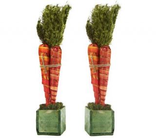 Set of 2 Carrots Topiaries by Valerie   H194845