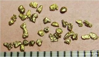 33 Pieces of Alaska Alaskan Gold Nugget Nuggets Bullion