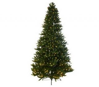 Mr. Christmas Wisconsin Fir 6.5Pre Lit LED Tree with 5 Year LMW 