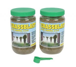 Grassblast Patch Formula   Set of 2 2 lb Jars —