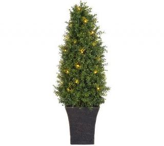 BethlehemLights BatteryOperated 3 Boxwood Topiary with Timer