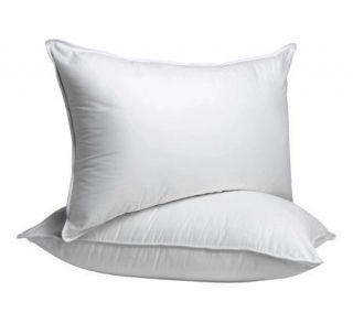 Sealy Posturepedic Set of 2 F/Q Trillium Pillow —