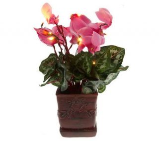 BethlehemLights BatteryOperated 12 Potted Cyclamen Plant with Timer 