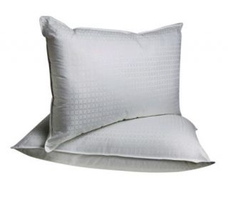 Sealy Posturepedic Queen 305TC Foam & Fiber Pillows   Set of 2