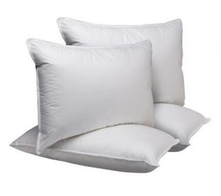 Sealy Essential Set of 4 Queen MaxiLoft Pillows —
