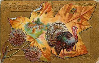 Thanksgiving Turkey Cottonwood Leaf & Balls 1908 Nash Vintage Embossed