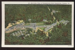 Postcard Cresson PA State Sanatorium Aerial View 1930s