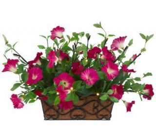 BethlehemLights BatteryOperated Solutions Petunia Rail Basket w/Timer 