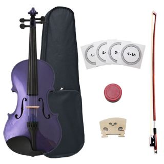 New Crescent 4 4 Purple Acoustic Violin Acc Full Set of Eleca Strings