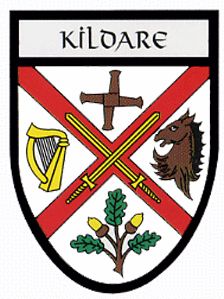 Kildare County Crest Iron on Embroidered Patch Badge