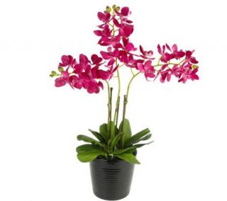 18 inch Lifelike Orchid Plant w/3Sprays in Ceramic Pot By Valerie 