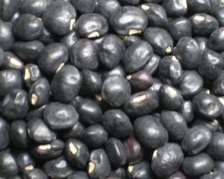 Black Crowder Southern Pea Vigna Unguiculata Seeds