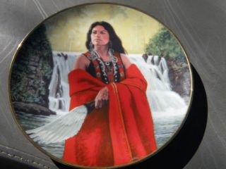 White Rose Noble American Indian Women David Wright