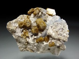 locality sierra de la cruz coahuila mexico size 5 5 x 4