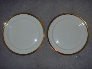  2 w s George Derwood 10" Dinner Plates