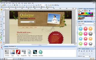 The desktop publishing style approach allows you to design your