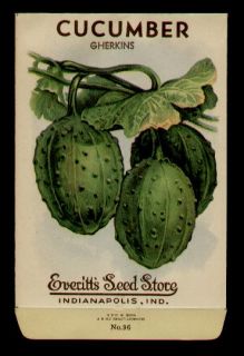 1940s CUCUMBER GHERKINS LITHO SEED PACKET  EVERITTS SEED