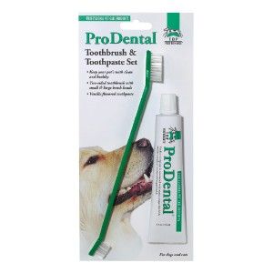 pro dental cat dog toothbrush toothpaste kit vanilla