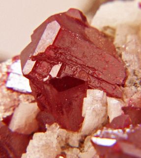 Bloodred Cinnabar Octahedralcrystals Dolomite China