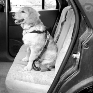 Dog Car Padded Safety Seat Belt Harness Medium 17 26