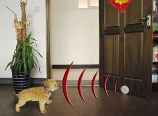Indoor Dog Cat Wireless Fence Pet Dog Barrier System Pets manager