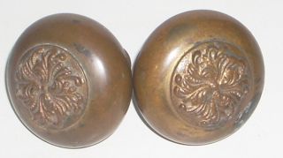  of Antique Ornate Brass Door Knobs with a Floral Design (or similar