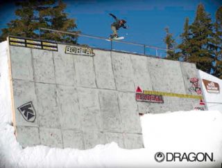 Dragon Alliance Mace Snowboard Ski Large Fit Spherical Lens Goggle DXS