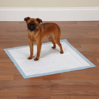 ClearQuest Great Value Puppy Dog Training Pads 200 Ct
